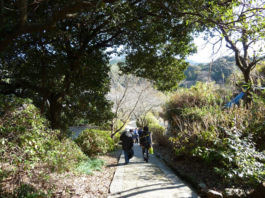 山の辺の道から長岳寺の山門をくぐると、春には桜並木が続く広い境内を通り抜けて、一旦道に出て又奥へと進むと、無人の社務所があり、ベルを押して出て来てもらった by asukauneme