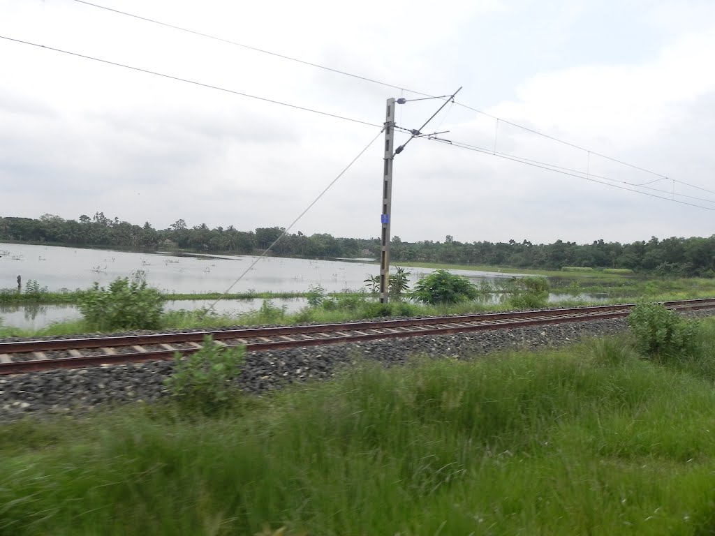 Village of Purba Medinipur, View from Train by sban1998