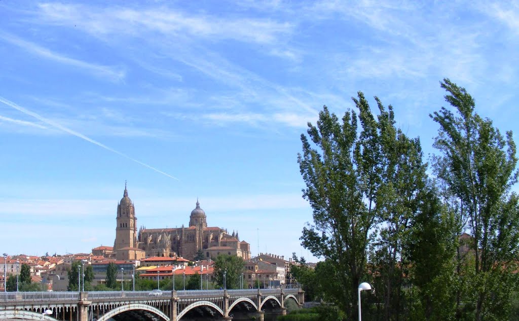 Salamanca - Panoramica by Bruno Esteves ©