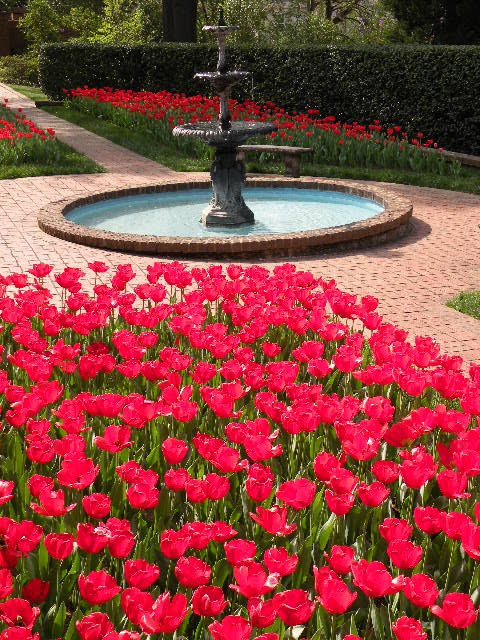 Memorial Gardens in Concord N.C. by dennykempen