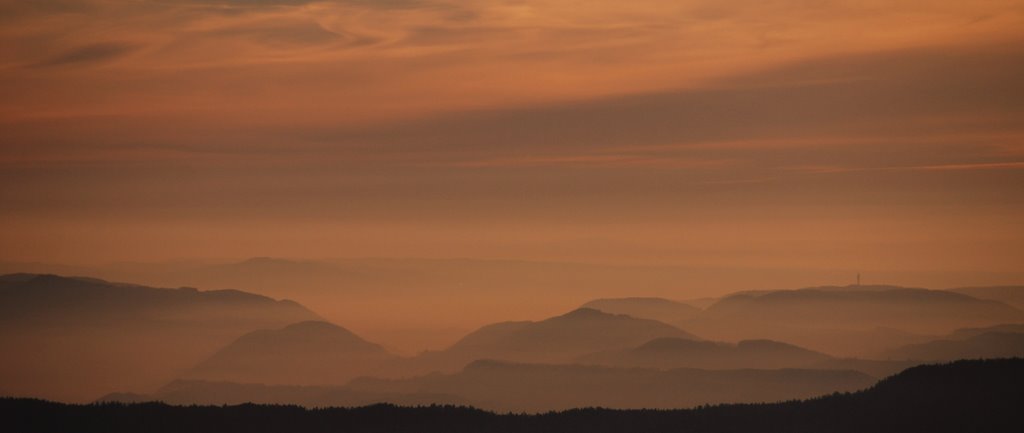 Foggy sunset by yves floret