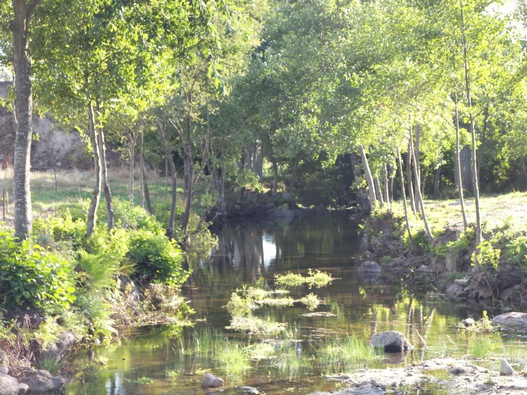 Praia Fluvial em Vila Cova à Coelheira (V.N. Paiva) by fjlima