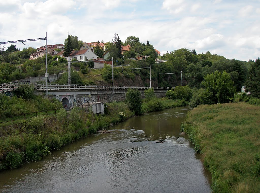 Bílovice nad Svitavou,Svitava by emigrant