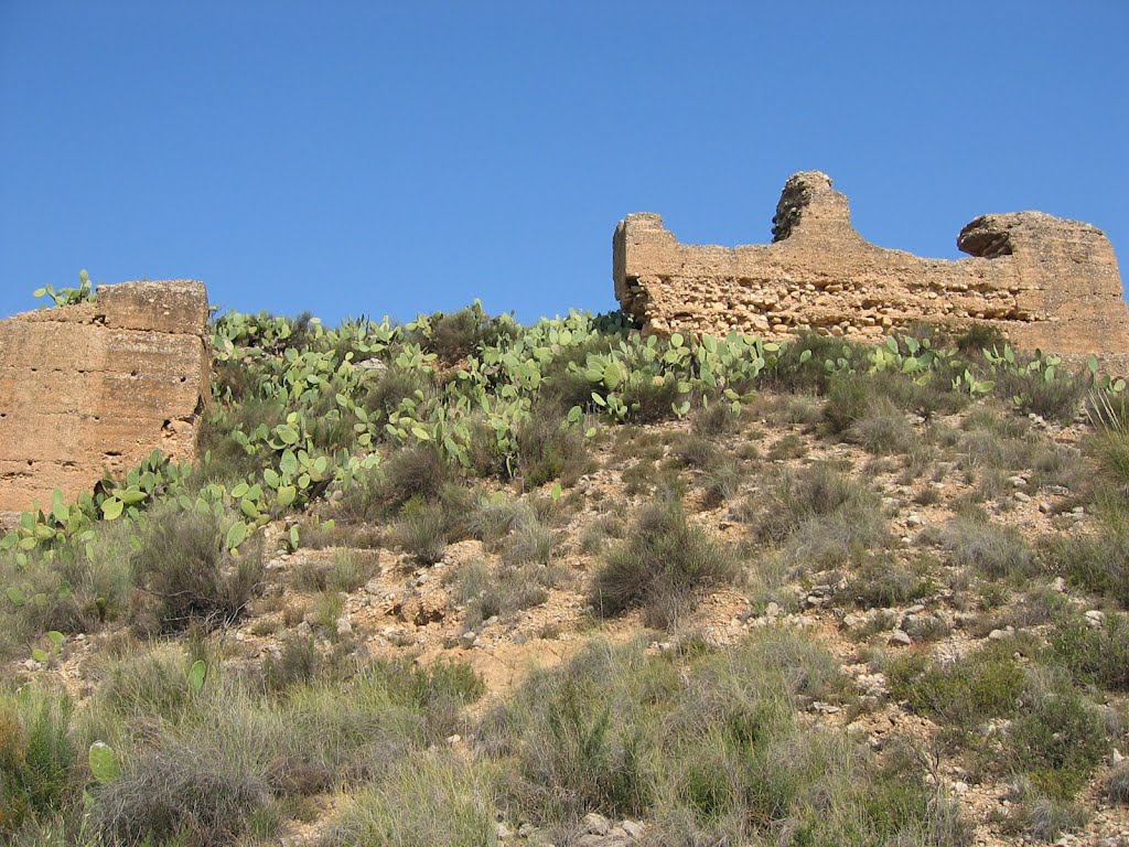 Castillo de las paleras by marathoniano