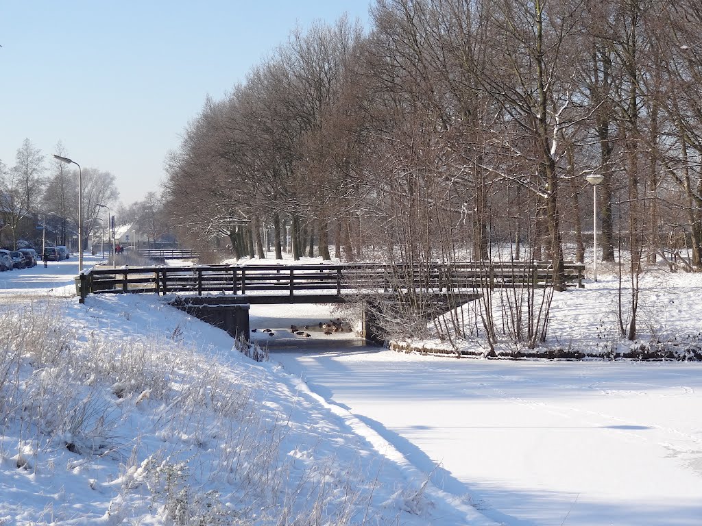 Winter in Schothorst by Willem Nabuurs