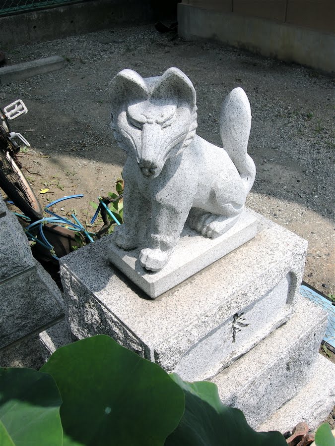 伏見稲荷大社 (Fushimi inari shrine) by yossy