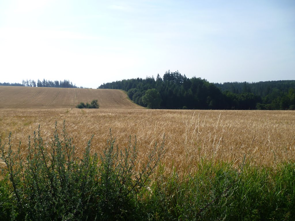 Hradec nad Moravicí by Alexander Duricky