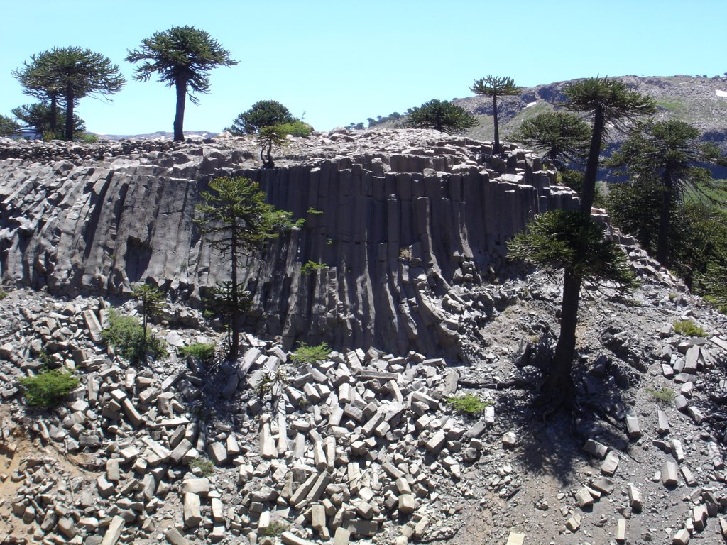 Strange basaltic rock formations like tubes in "Siete cascadas" trail by lbianchini