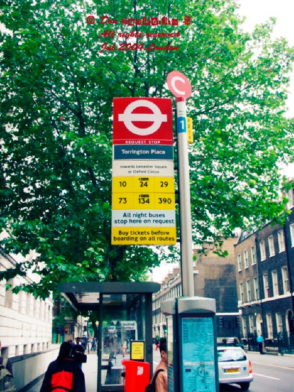 Torrington Place Bus Stop by donbenito