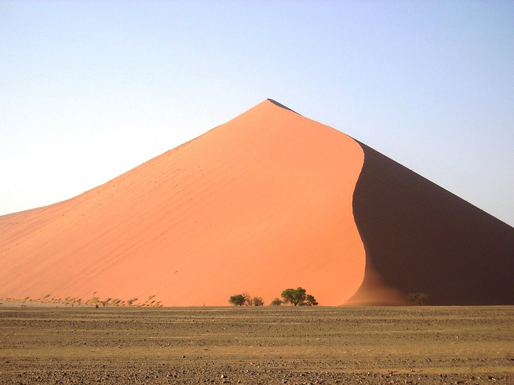 Deserto del Namib - duna 45 by maremagna