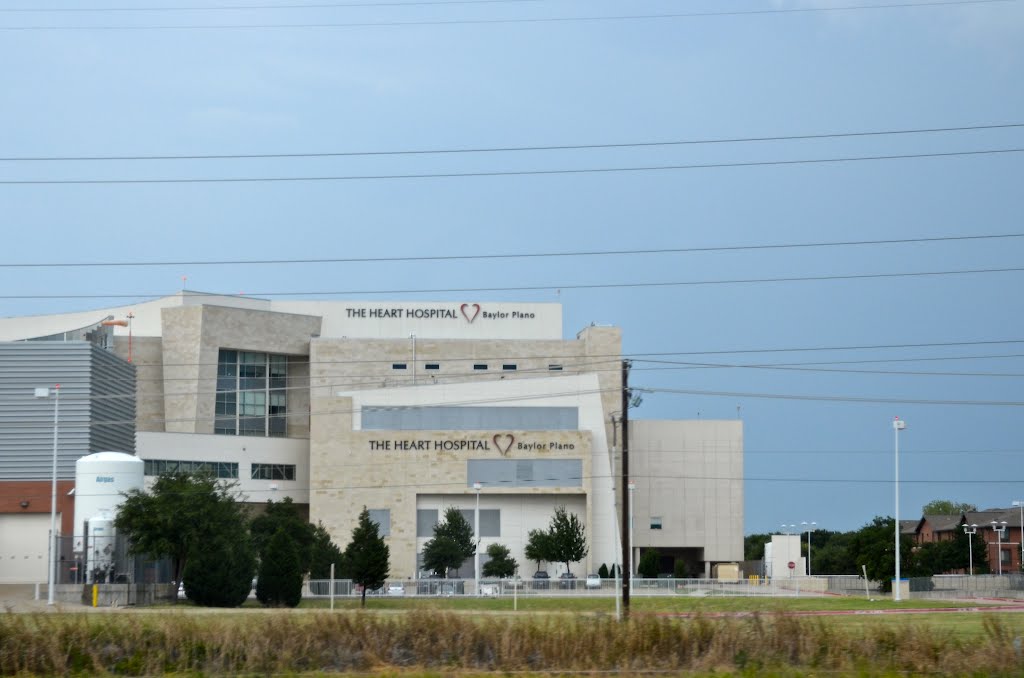 The Heart Hospital by Buddy Rogers