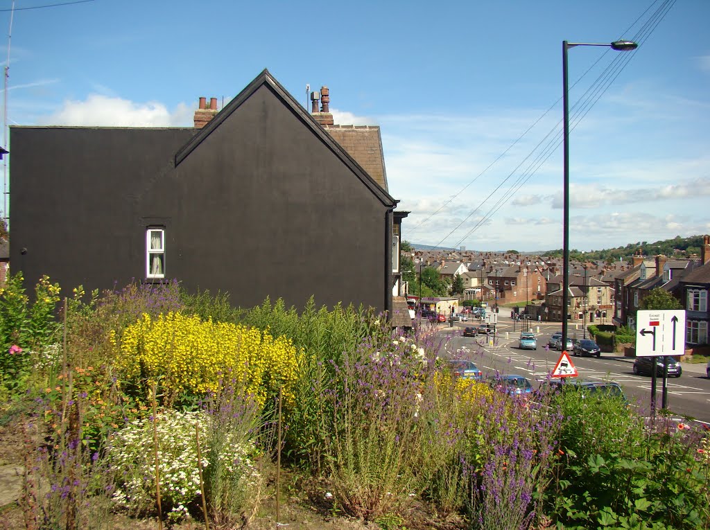 Looking over flowering plants towards gable end and Meadowhead/Abbey Lane/Chesterfield Road junction, Sheffield S8 by sixxsix