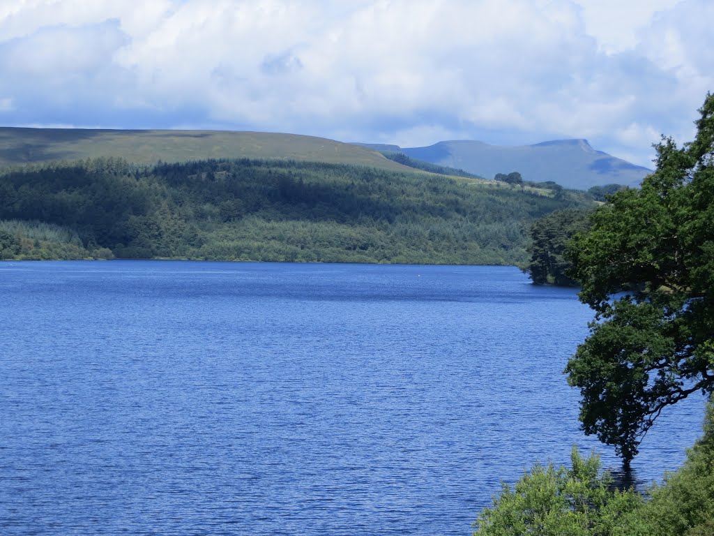 From the Brecon Mountain Railway - 27th July 2012 by Forester2009