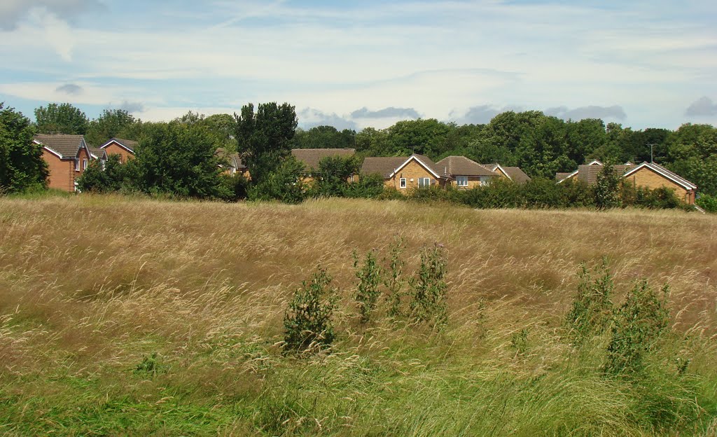 Looking due north over long grass towards Jordanthorpe housing, Sheffield S8 by sixxsix