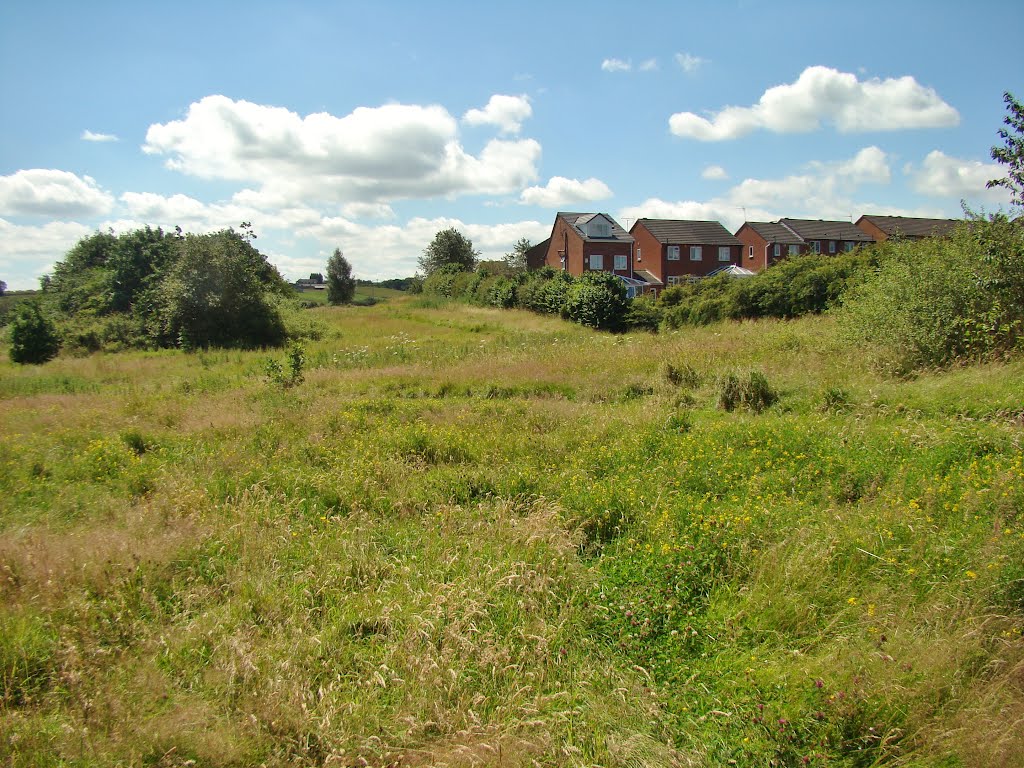 Looking over wildlife area towards Jordanthorpe Green houses, Sheffield S8 by sixxsix