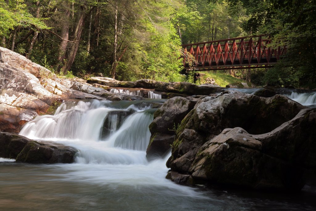 Whitetop Laurel Falls by R. D. Gardner