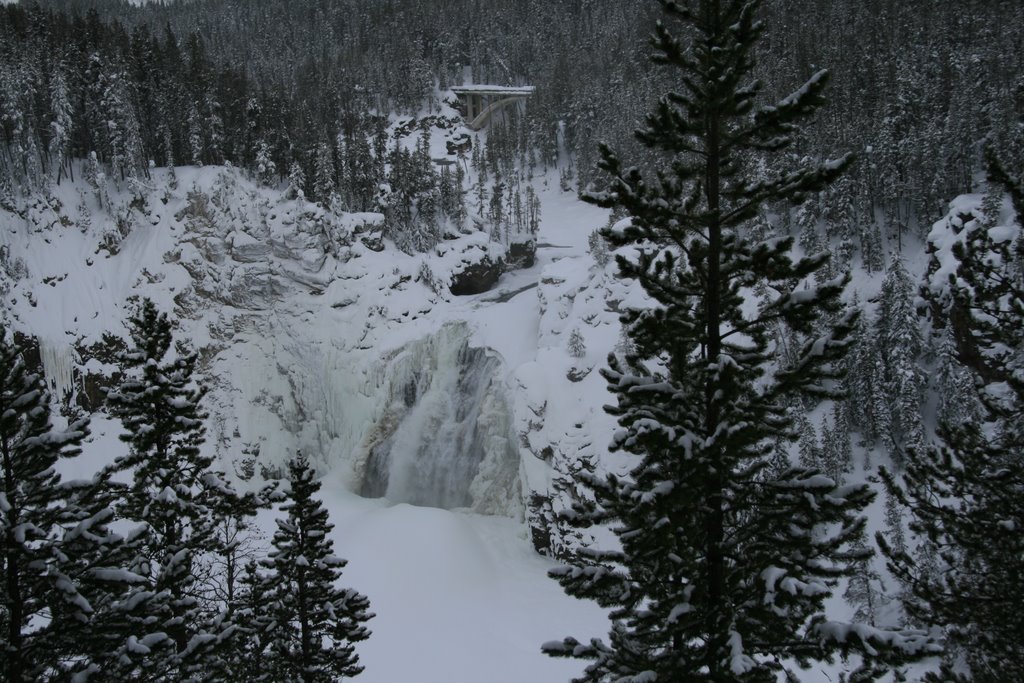 Grand Canyon of the Yellowstone River, Yellowstone National Park, Wyoming by Richard Ryer