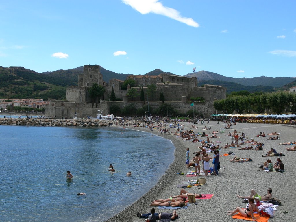 Collioure (Pyrénées-Orientales) by jasonvy7