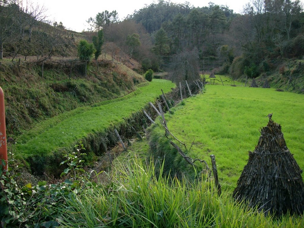 Fundo do Vale de Catives - Couto Esteves perto de Rocas do Vouga - Sever do Vouga by JBastos