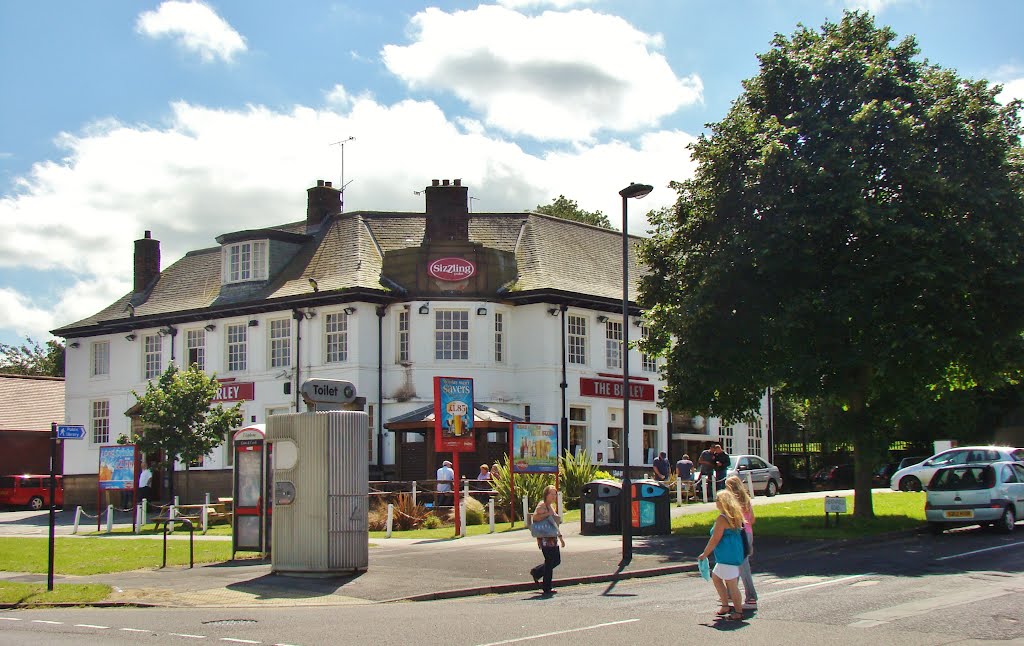 The Birley at the junction of Birley Moor Road/Heathfield Road, Frechville, Sheffield S12 by sixxsix