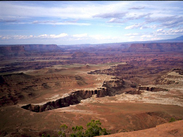 White Rim from Island in the Sky by zioneye