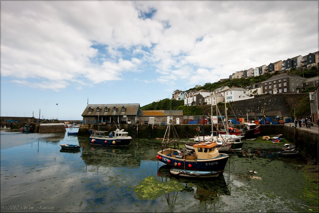 Harbour, Mevagissey, Cornwall, UK by Wim Janssen