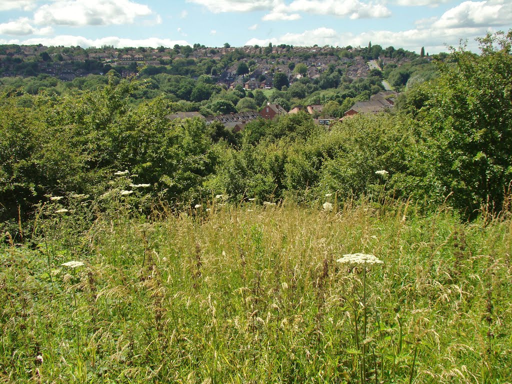 Looking towards Frechville in summer from the Transpennine Trail, Sheffield S13/S12 by sixxsix