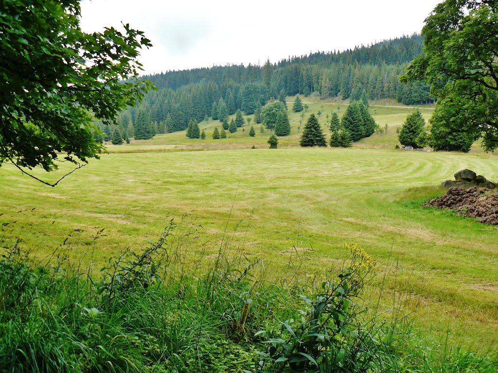 Ausblick vom Wanderweg vom Schluchsee zum Feldberg by Qwesy