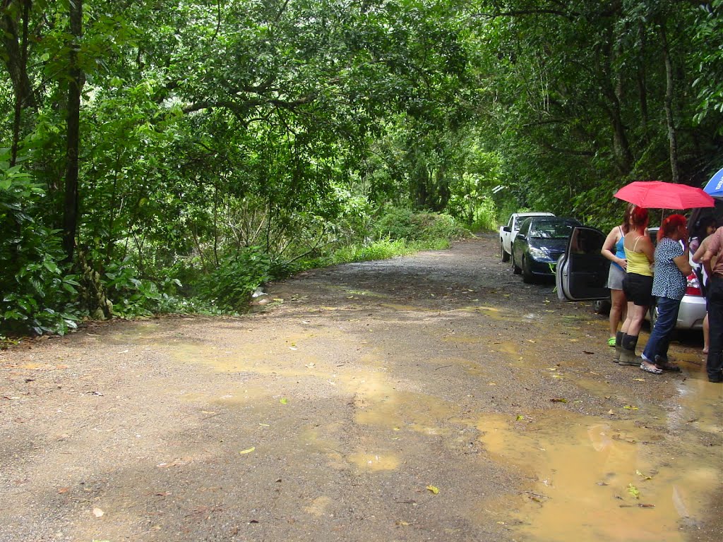 Camino de tierra justamente frente al Charco El Mangó, en Adjuntas, Puerto Rico by Victor O. Detres