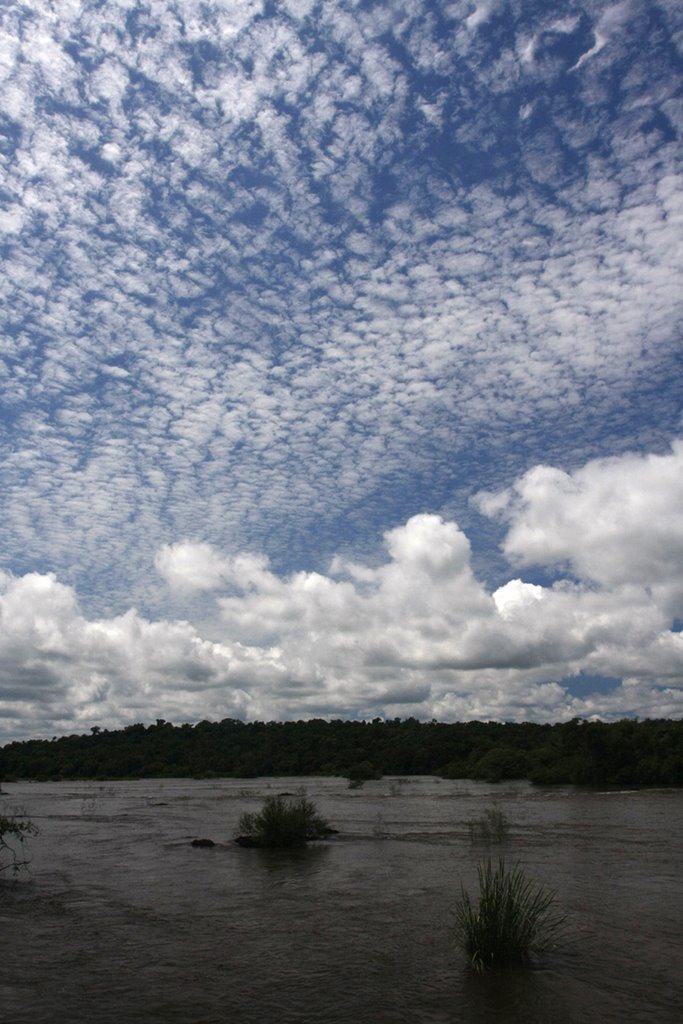 Iguazú, Misiónes, Argentina by Timofey Tararin