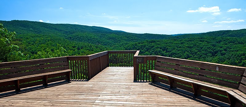 Green Ridge State Forest Overlook by Bob Engelbart