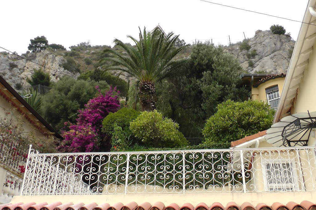 Garten in Roquebrune by RaulThyssen