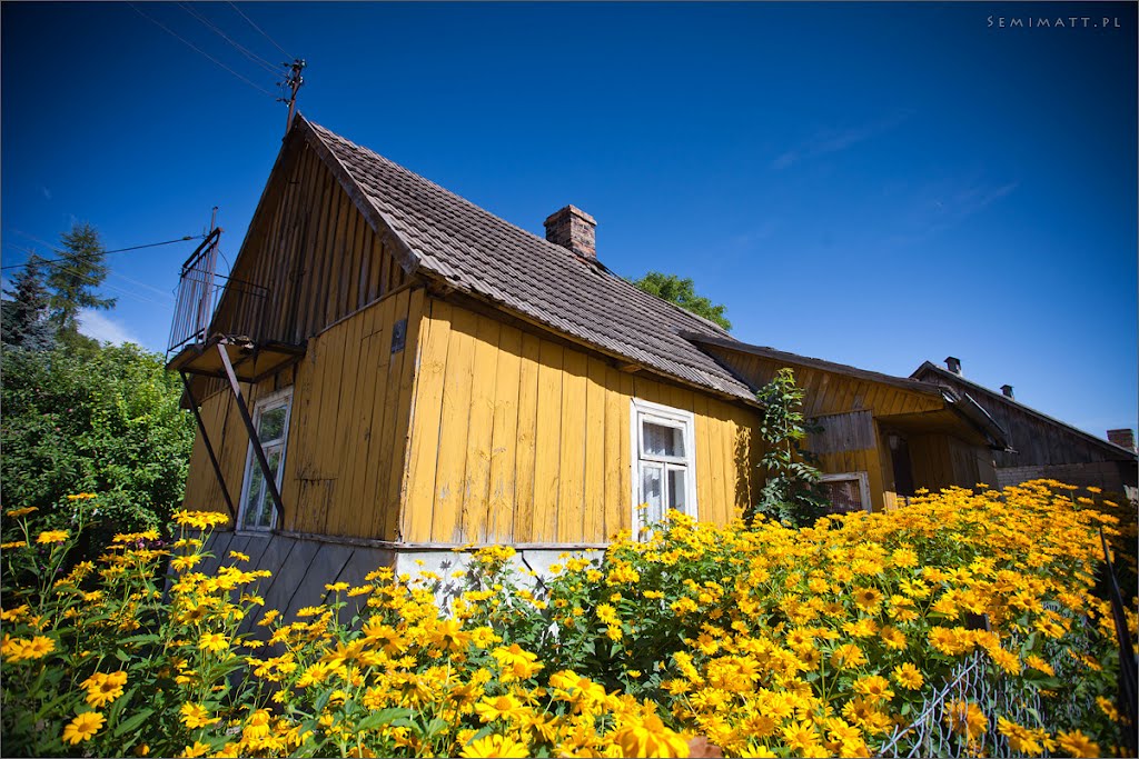 Drohiczyn, house with a lot of flowers outside by semimatt