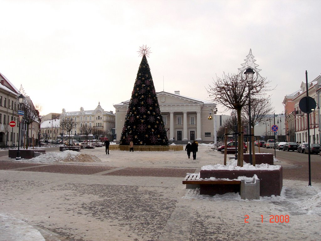 Vilnius - Town Hall by Cristian PATRASCU