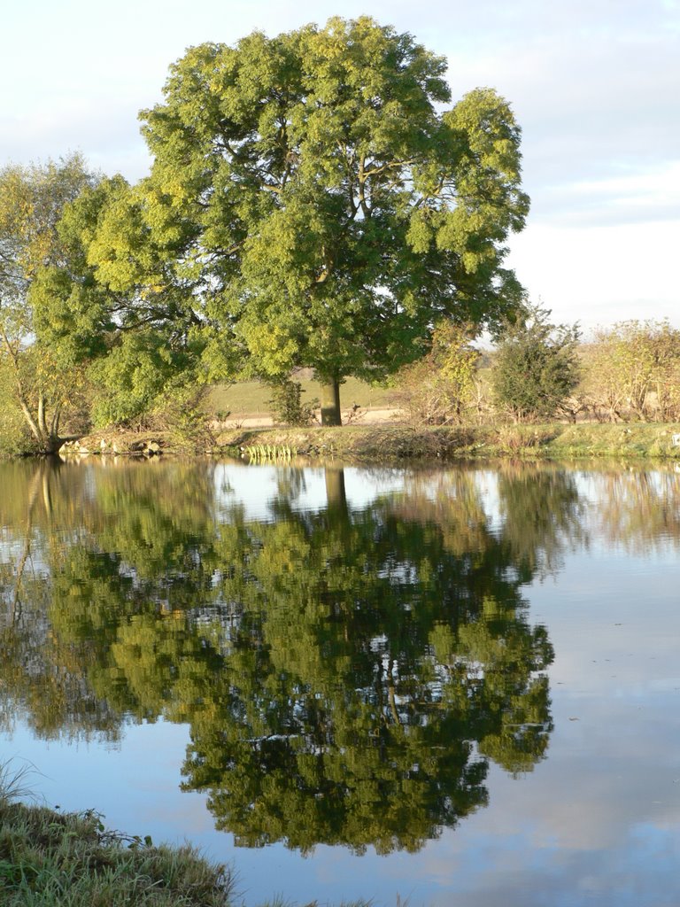 South Yorkshire Navigation, Kirk Sandall by Rod Jacobsen