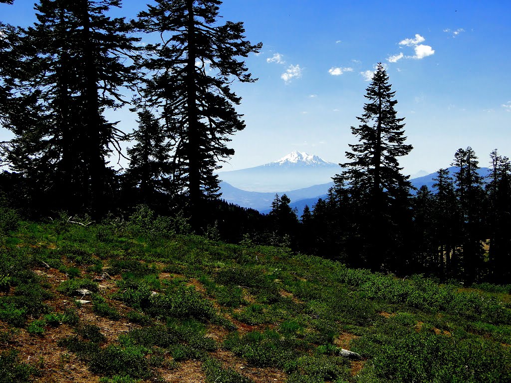 Mt. Shasta from Mt. Ashland by Tom Severns