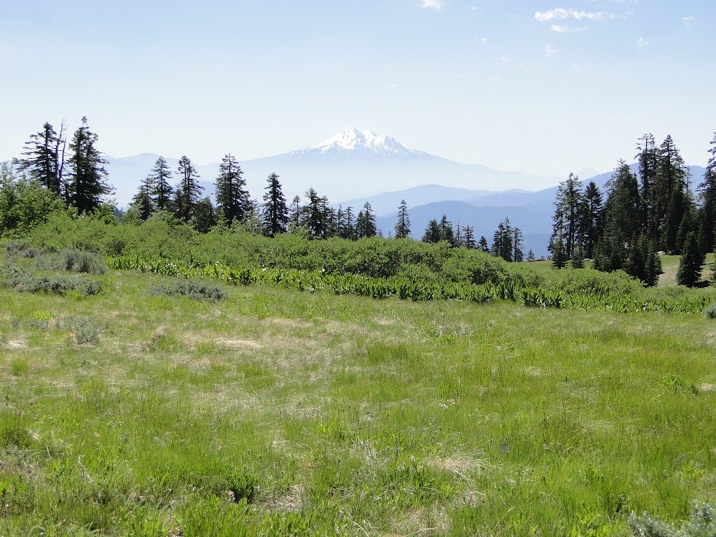 Mt. Shasta from Mt. Ashland by Tom Severns