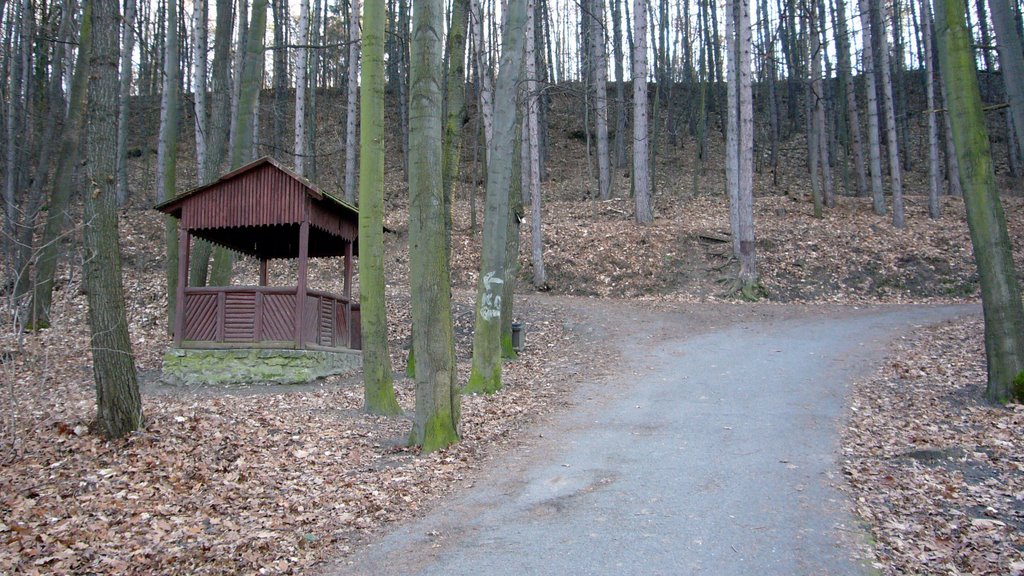 The arbour near Motol golf course by Jiri Planicka