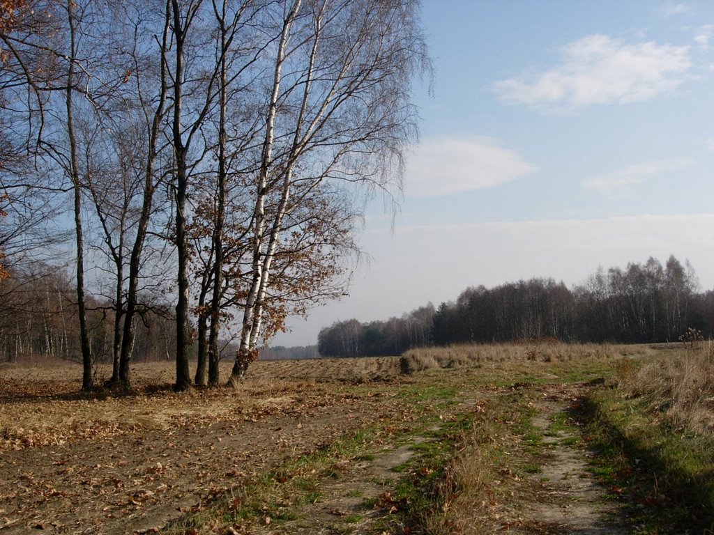 Wola Rzedzinska - view at east by Piotr Skorka