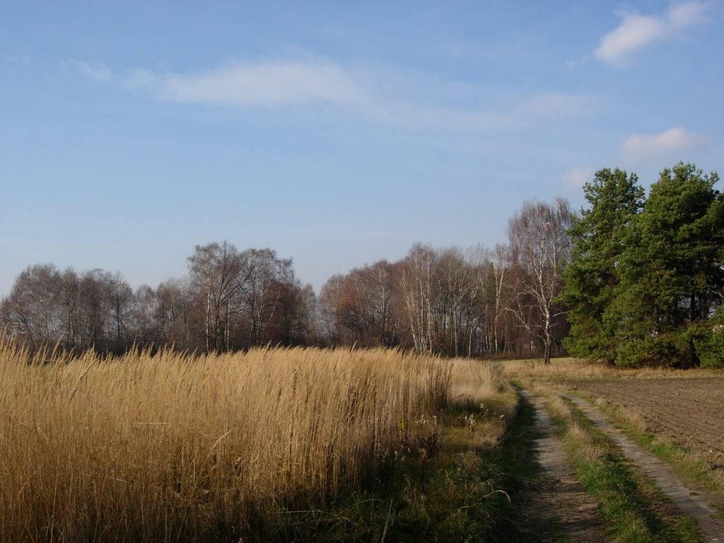 Wola Rzedzinska - widok na zachód/ view on west by Piotr Skorka