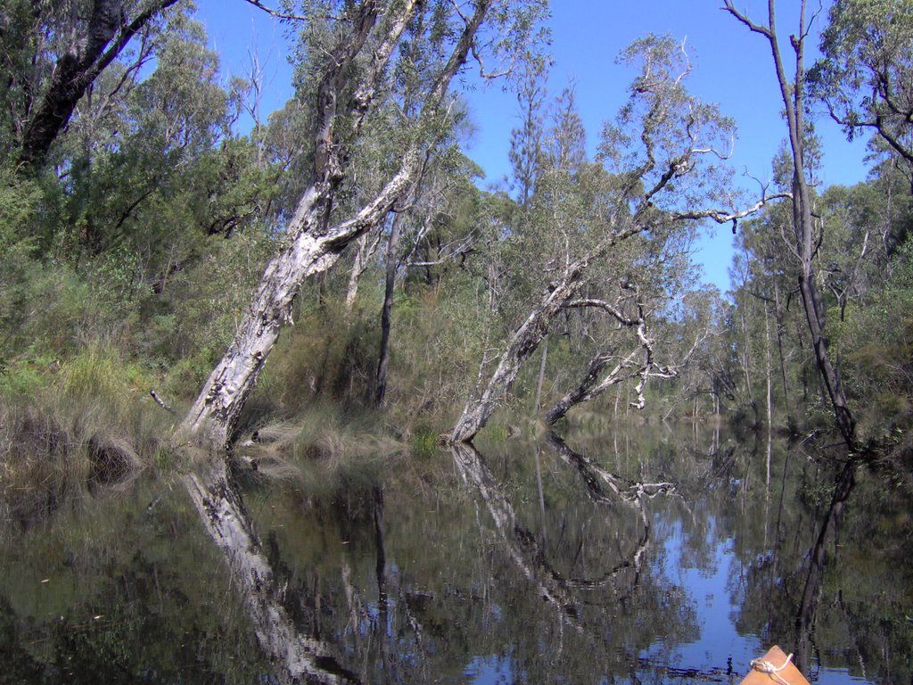 Creek off the Esk River - Reflections by scml