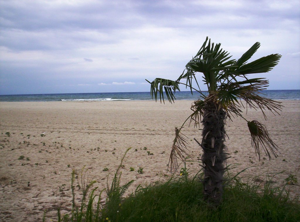 Paralia, Greece by Eviku