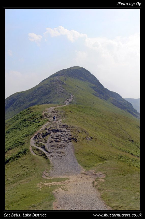 Cat Bells by www.ShutterNutters.co.uk