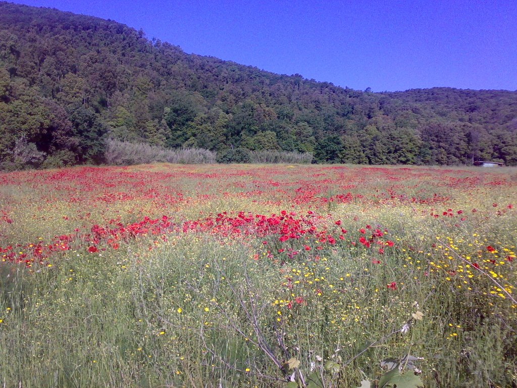 Valle del Fiume Chioma by canaccini maurizio