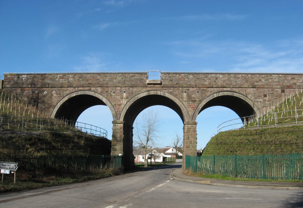 Henfield Railway Viaduct. by Bob&Anne Powell