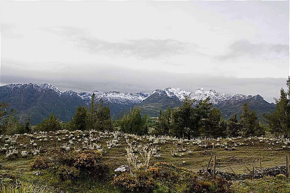 Nevada en montañas que rodean a la laguna Mucubaji, estado Mérida by Pedro Garcia