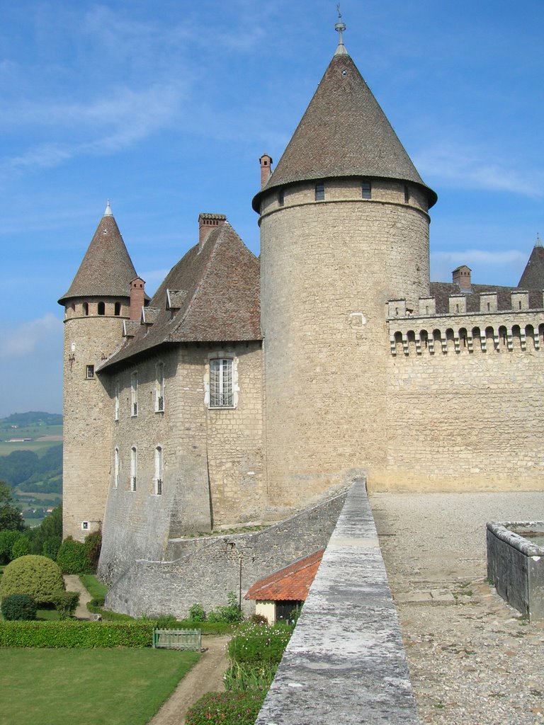 Chateau de Virieu by Boumlik M.