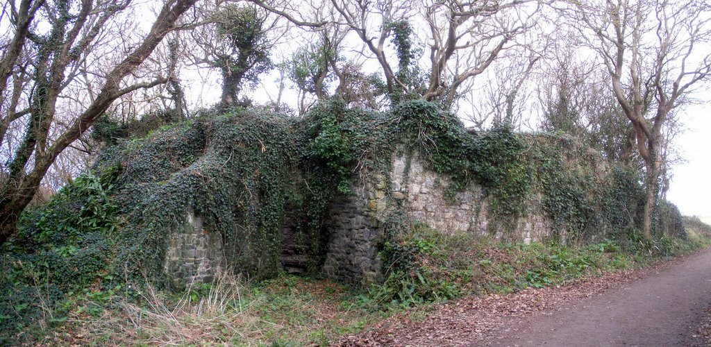 Industrial artefact at Kilve ? by muba