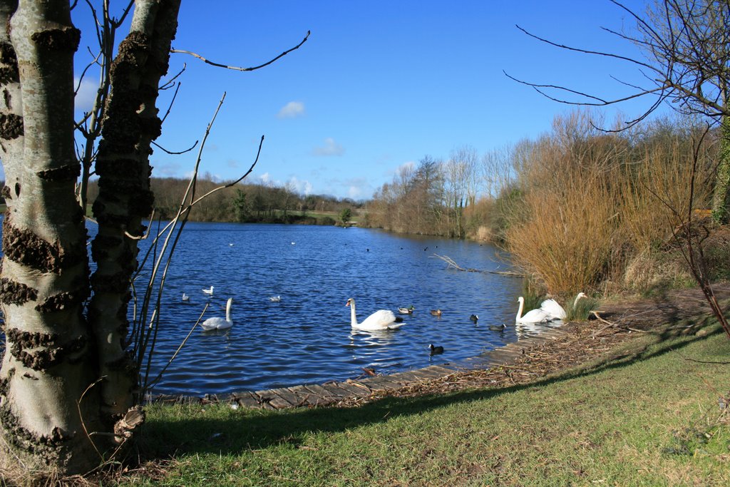 Cosmeston Lake by fillup