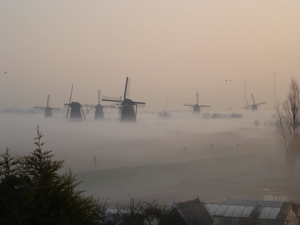 Mistig Kinderdijk by R. Sciangula